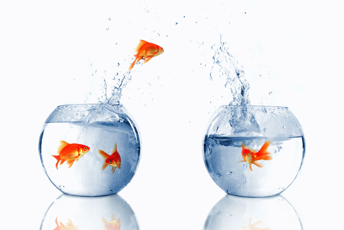 Email to Existing Customer For a New Offer Email to Existing Customer For a New Offer